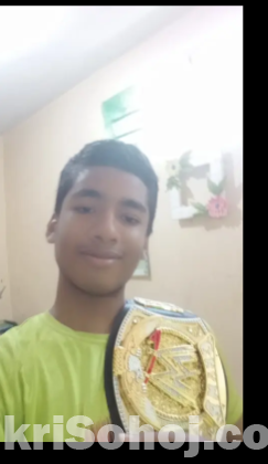 WWE CHAMPIONSHIP RIPLICA(TOY VERSION)